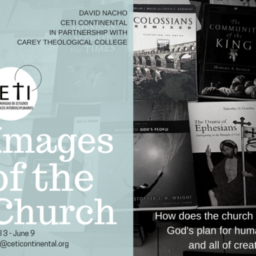 Upcoming Opportunity! “Images of the Church” Online Course